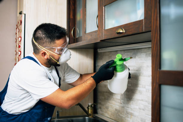 Best Pest Removal Services  in Pinellas Park, FL